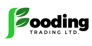MainOne logo